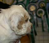 x_boy_purple_nearly_6weeks_h