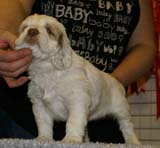 x_girl_blue_nearly_6weeks_a