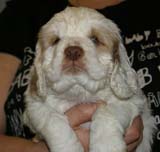 x_girl_blue_nearly_6weeks_d