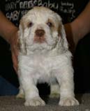 x_girl_blue_nearly_6weeks_e