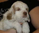 x_girl_blue_nearly_6weeks_i