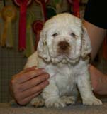 x_girl_bronze_nearly_6weeks_a