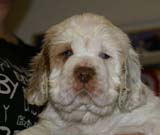 x_girl_green_nearly_6weeks_k