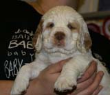 x_girl_pink_nearly_6weeks_g