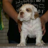 x_girl_pink_nearly_6weeks_j