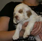 x_girl_pink_nearly_6weeks_n