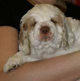 x_girl_purple_nearly_6weeks_i