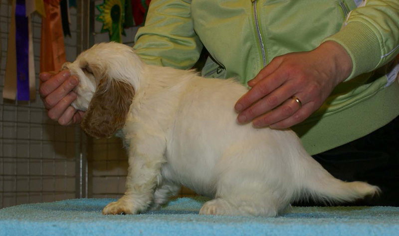 x_boy_blue_almost_7weeks