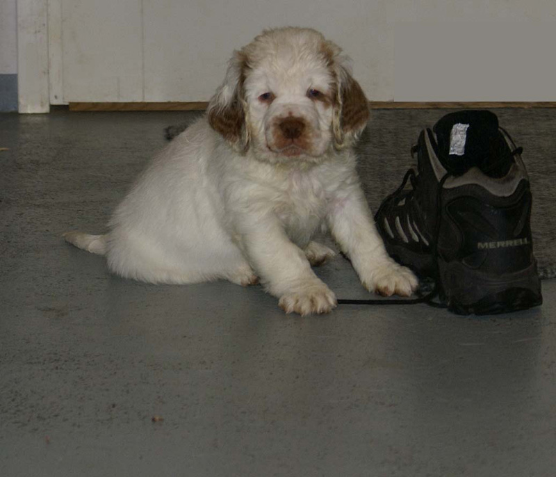 x_boy_bronze_almost_7weeks