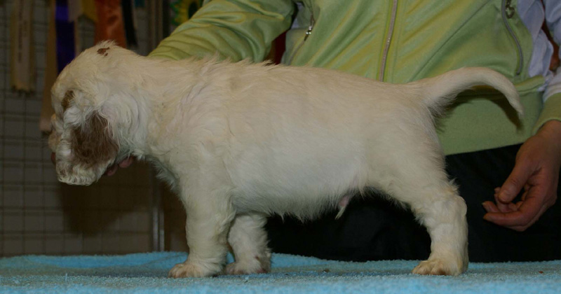 x_boy_bronze_almost_7weeks_c