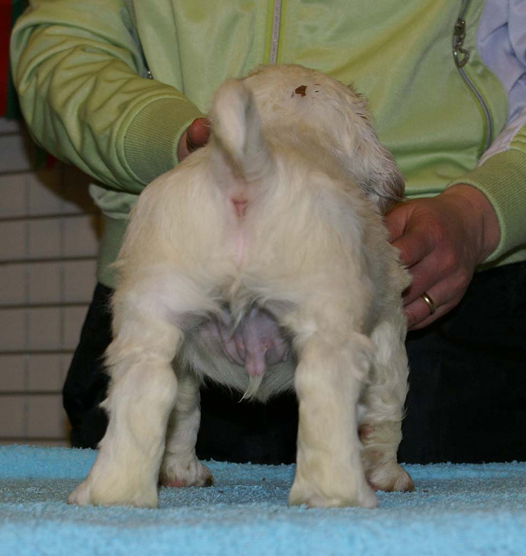 x_boy_bronze_almost_7weeks_d