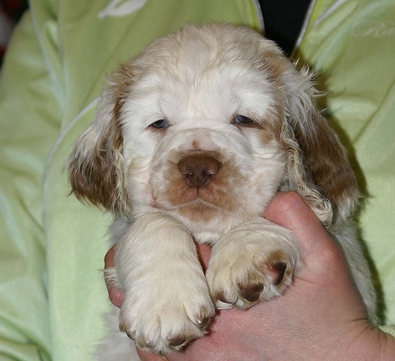 x_boy_bronze_almost_7weeks_f