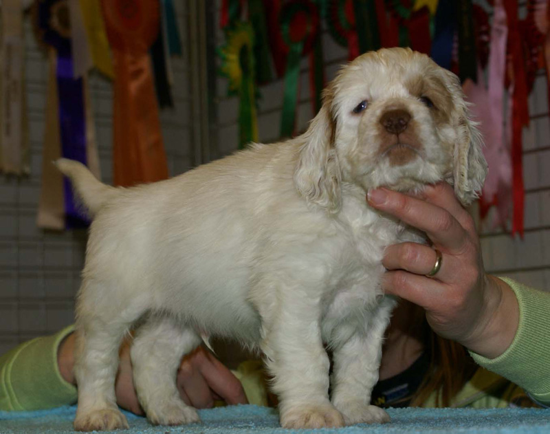 x_boy_green_almost_7weeks_m