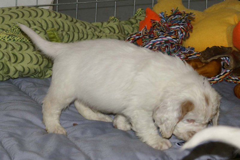 x_boy_green_almost_7weeks_p