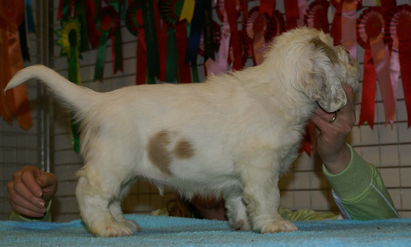 x_boy_pink_almost_7weeks_h