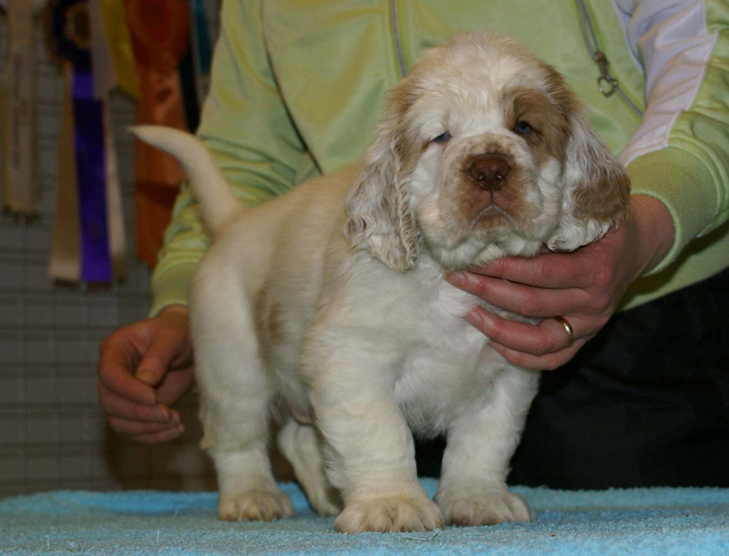 x_boy_pink_almost_7weeks_k