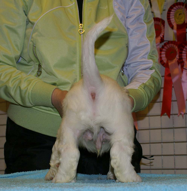 x_boy_purple_almost_7weeks_g