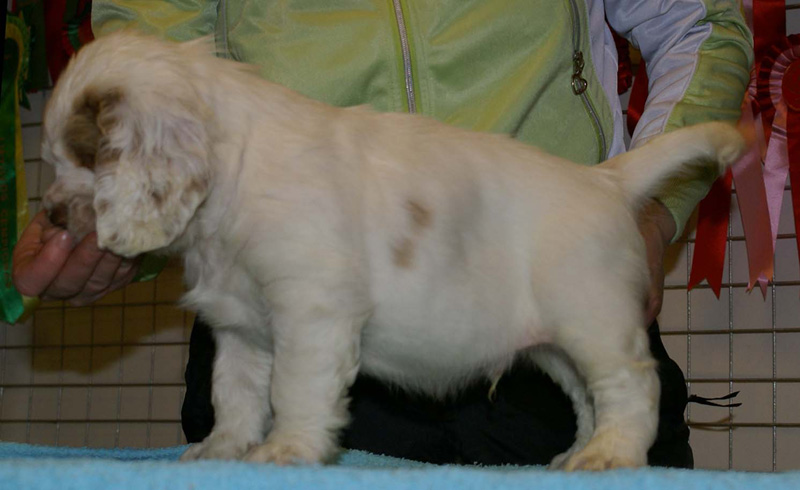 x_boy_purple_almost_7weeks_i