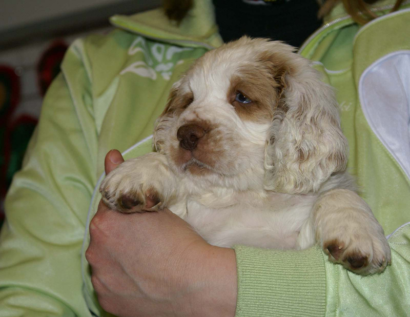 x_boy_purple_almost_7weeks_j