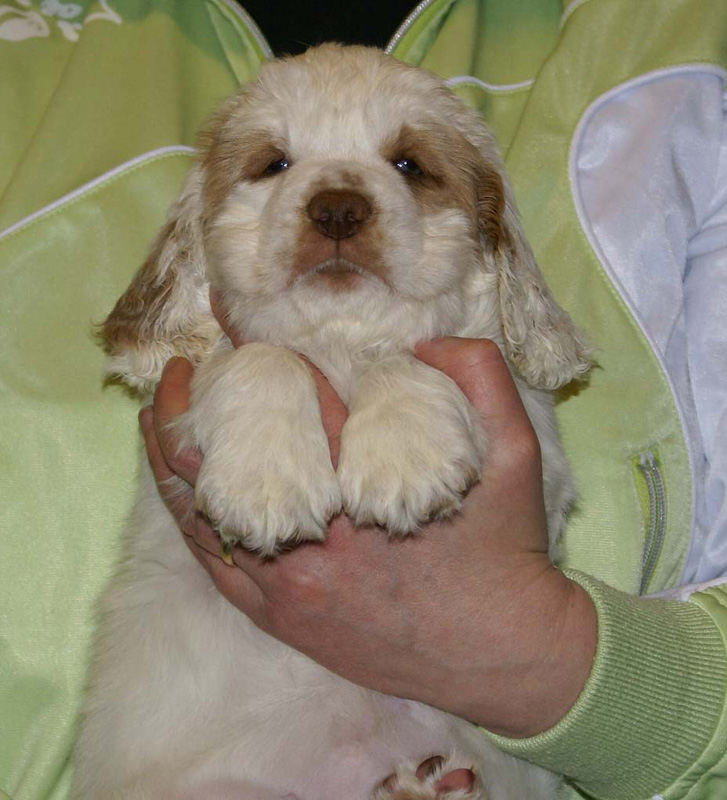 x_girl_blue_almost_7weeks_f