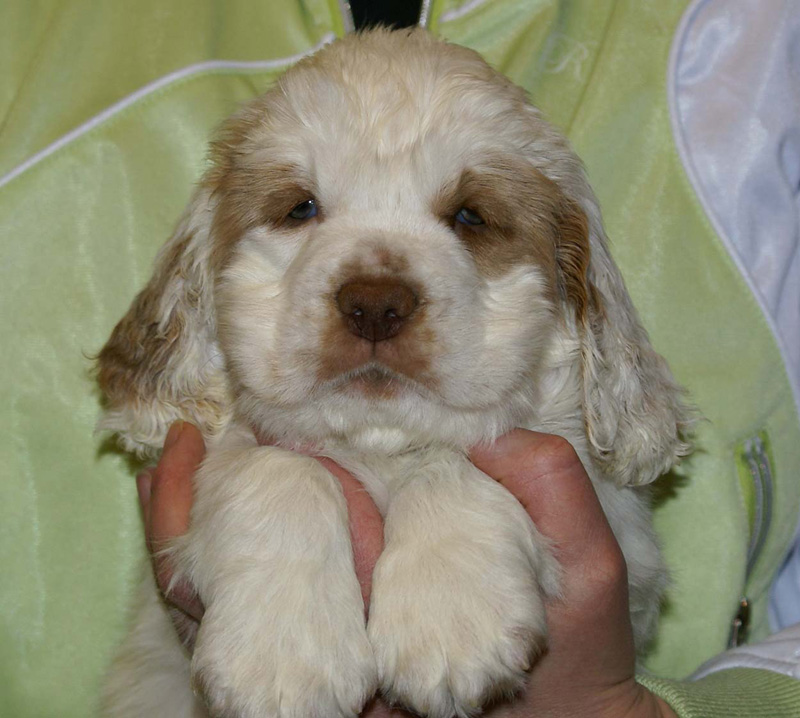 x_girl_blue_almost_7weeks_g