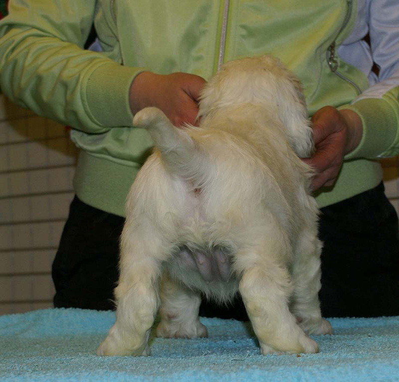 x_girl_blue_almost_7weeks_j