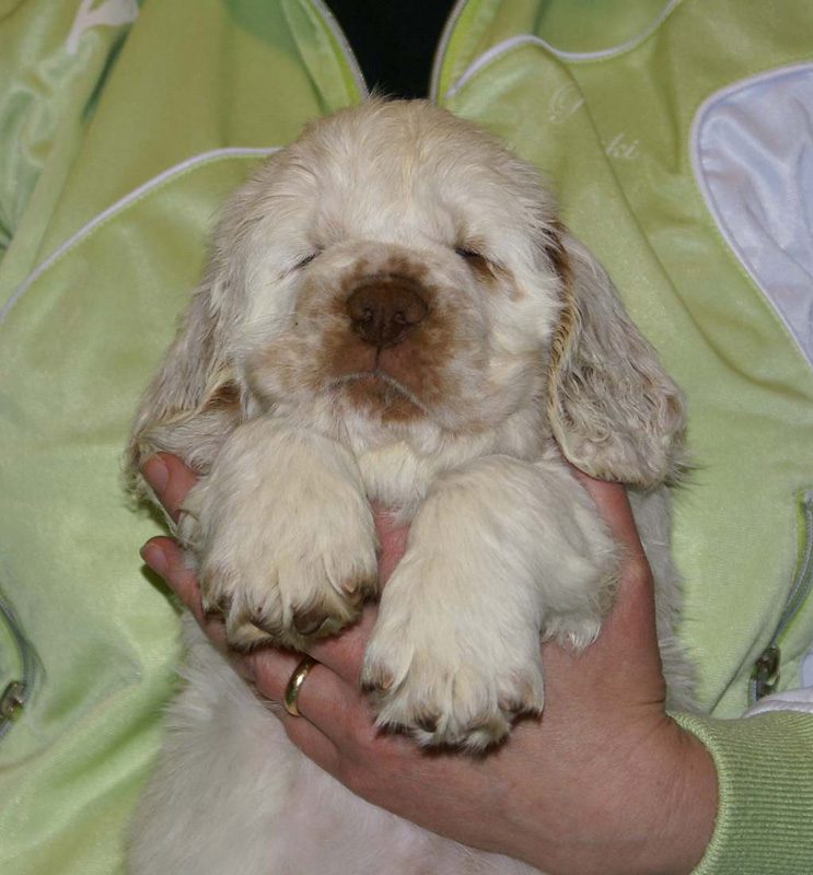 x_girl_bronze_almost_7weeks