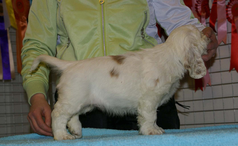 x_girl_bronze_almost_7weeks_a