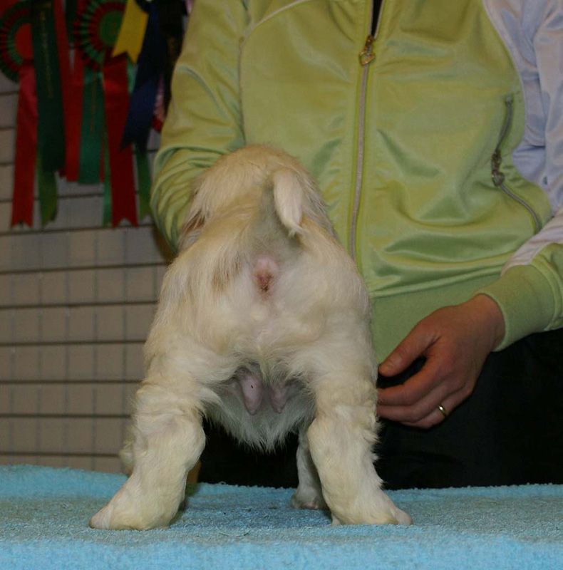 x_girl_bronze_almost_7weeks_f