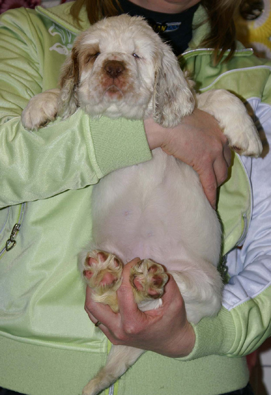 x_girl_green_almost_7weeks_e