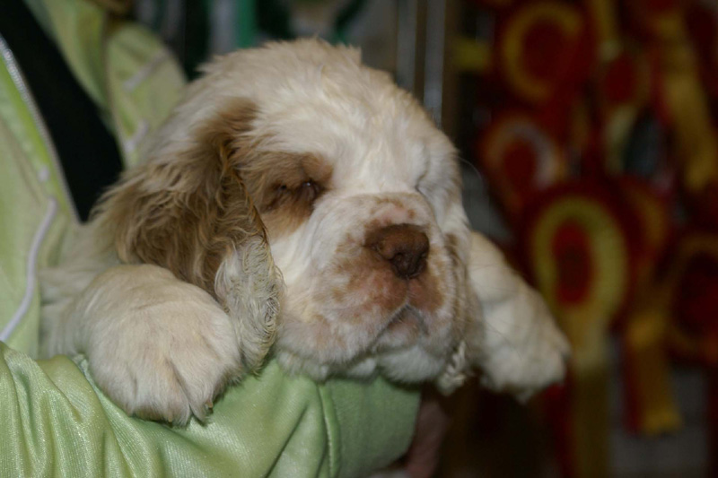 x_girl_green_almost_7weeks_f