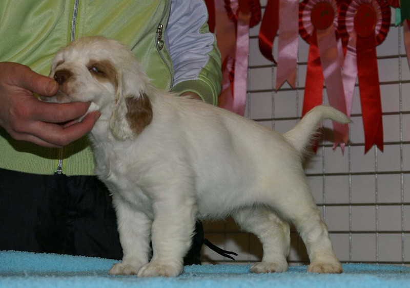 x_girl_pink_almost_7weeks_f