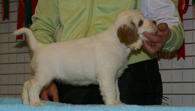 x_girl_pink_almost_7weeks_g