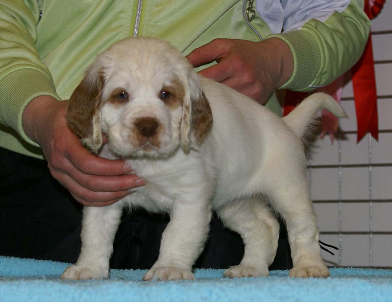 x_girl_pink_almost_7weeks_h