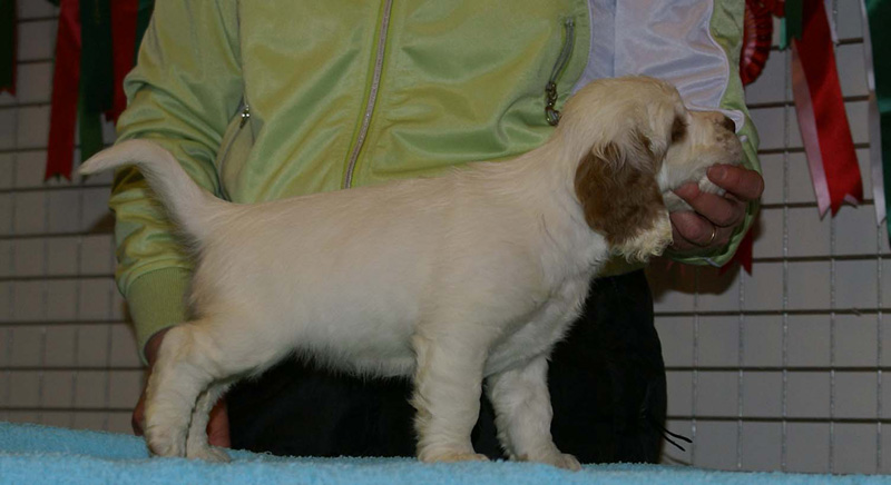 x_girl_pink_almost_7weeks_i