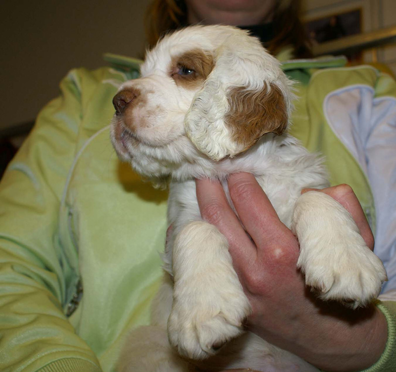 x_girl_pink_almost_7weeks_l