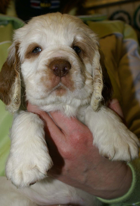 x_girl_pink_almost_7weeks_n