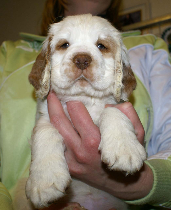 x_girl_pink_almost_7weeks_o