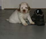 x_boy_bronze_almost_7weeks