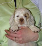 x_boy_green_almost_7weeks_d