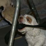 x_boy_green_almost_7weeks_o