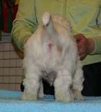 x_boy_pink_almost_7weeks_e