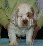 x_boy_pink_almost_7weeks_f