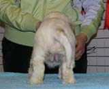 x_girl_green_almost_7weeks_g