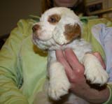 x_girl_pink_almost_7weeks_l