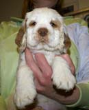 x_girl_pink_almost_7weeks_o