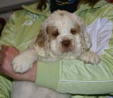 x_girl_purple_almost_7weeks_c