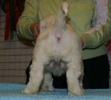 x_girl_purple_almost_7weeks_f