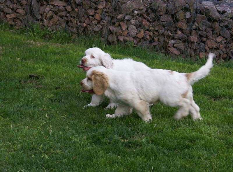 Bono_Flynn_4months_a