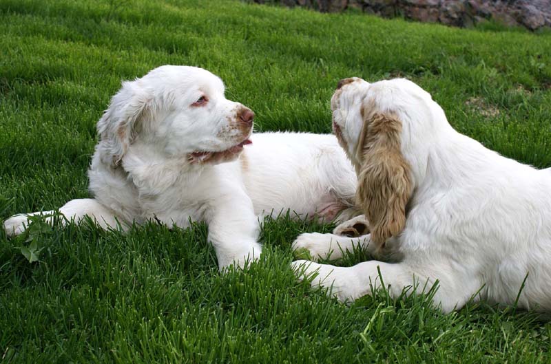 Bono_Flynn_4months_f